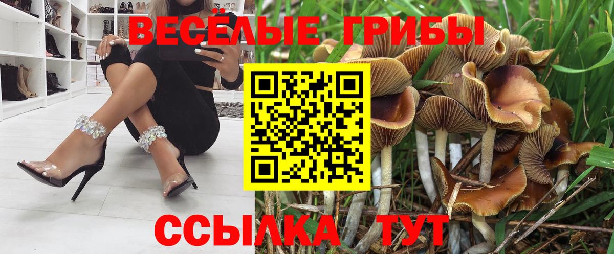 Сунжа  Псилоцибиновые грибы Magic Shrooms  Вход с VPN 